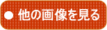他の画像を見る